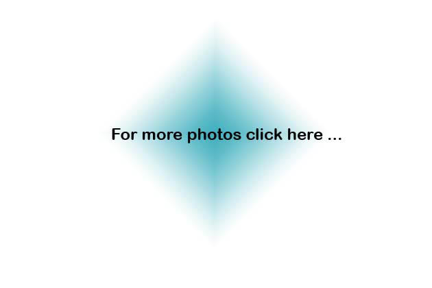 AT_linkMorePhotos